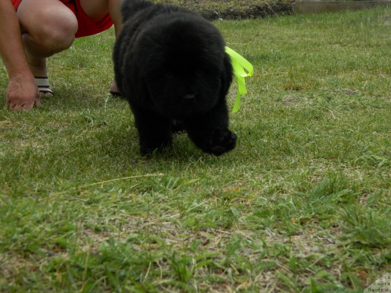 Фото: Наши дети