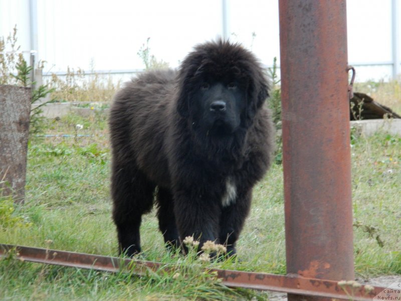 Фото: Наши дети