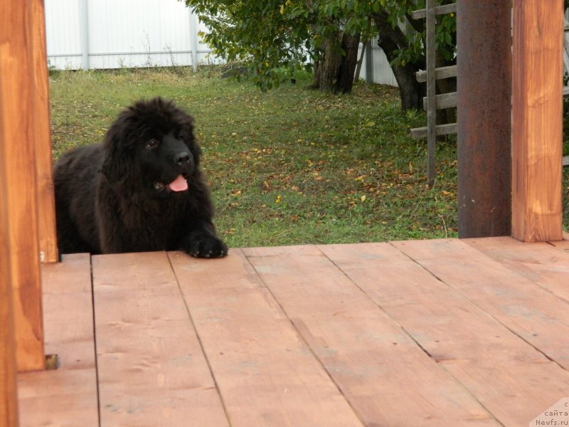 Фото: Наши дети