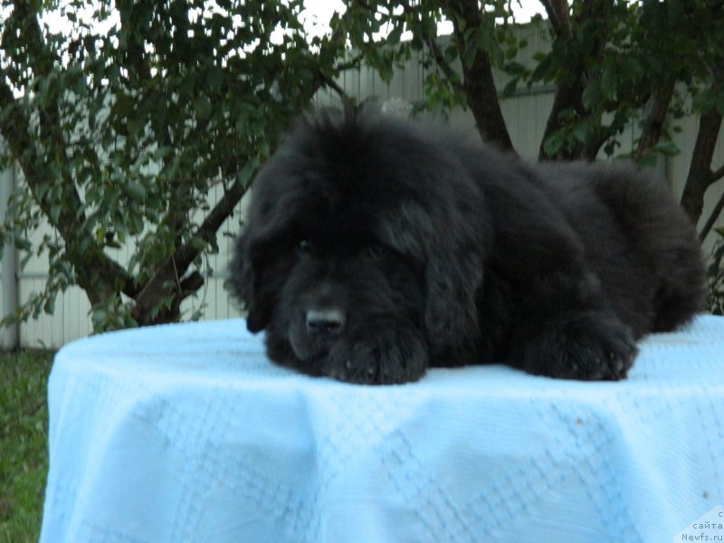 Фото: Наши дети