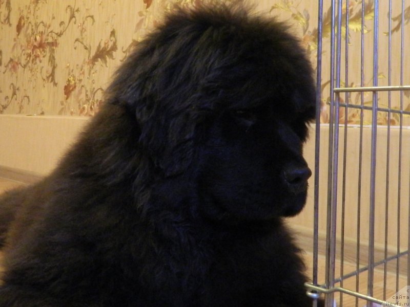 Фото: Наши дети