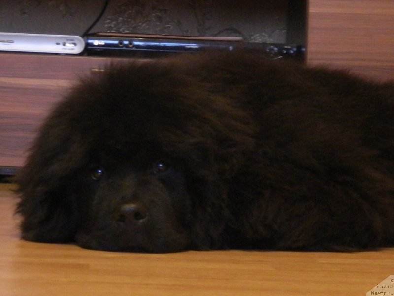 Фото: Наши дети