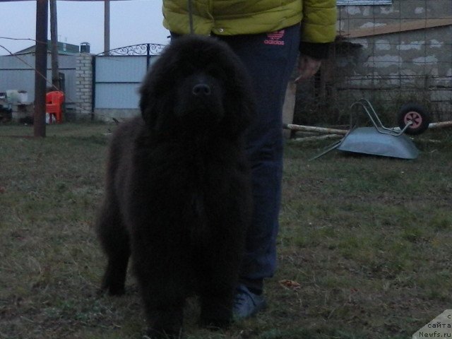 Фото: Наши дети