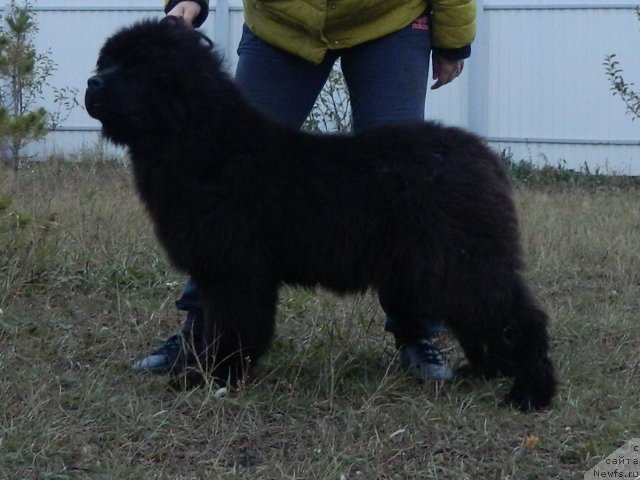 Фото: Наши дети