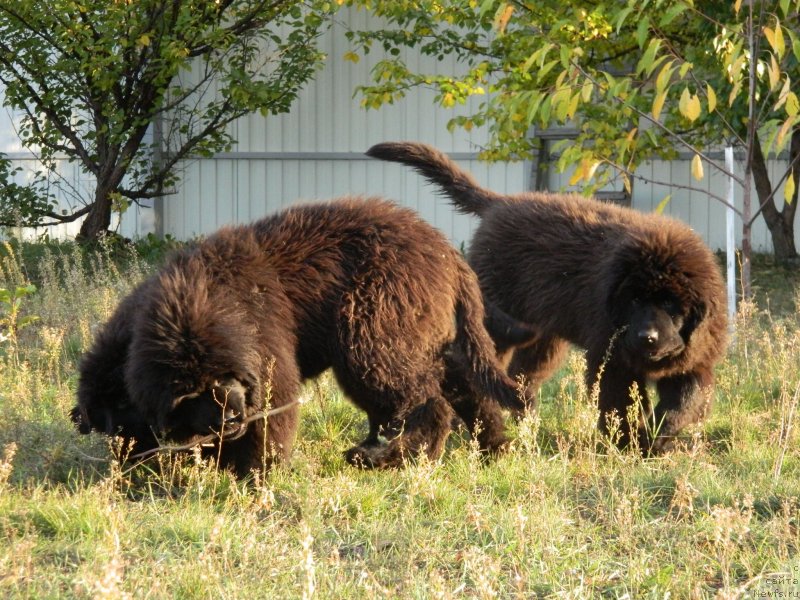 Фото: Наши дети