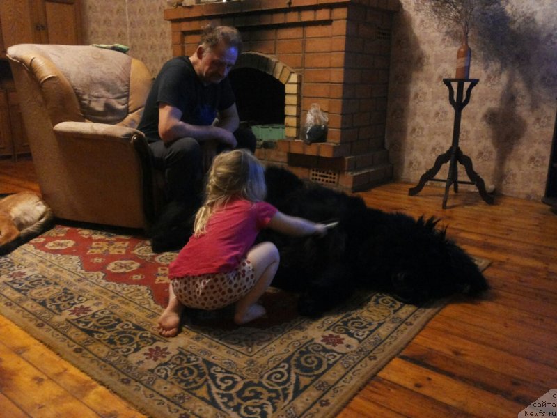 Фотография № 231204