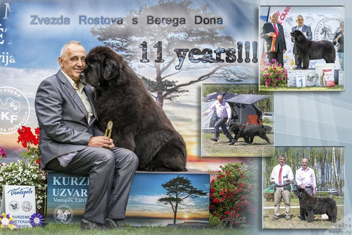 Фотография № 231205