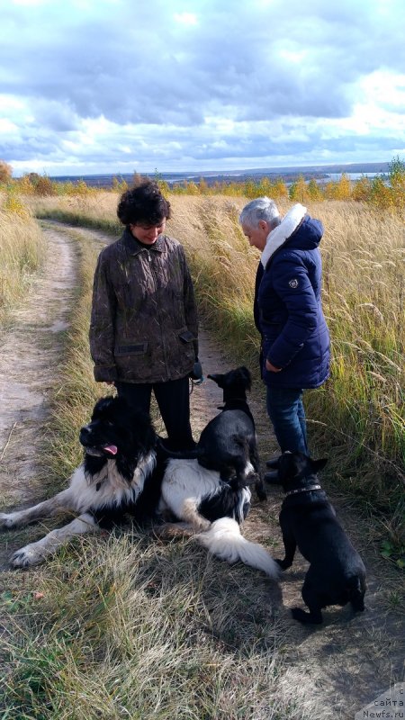 Фотография № 231215