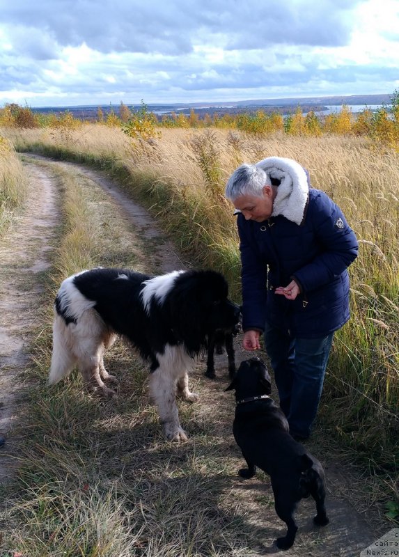 Фотография № 231216