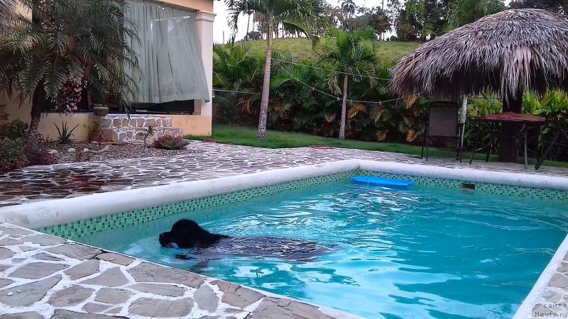 Фотография № 231226