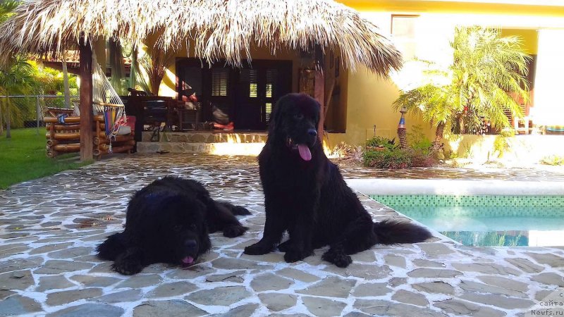 Фотография № 231227