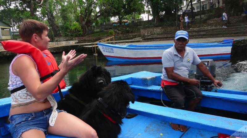 Фотография № 231233