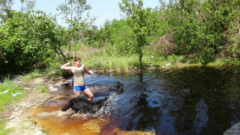 Фотография № 231234