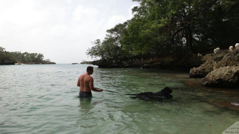 Фотография № 231235