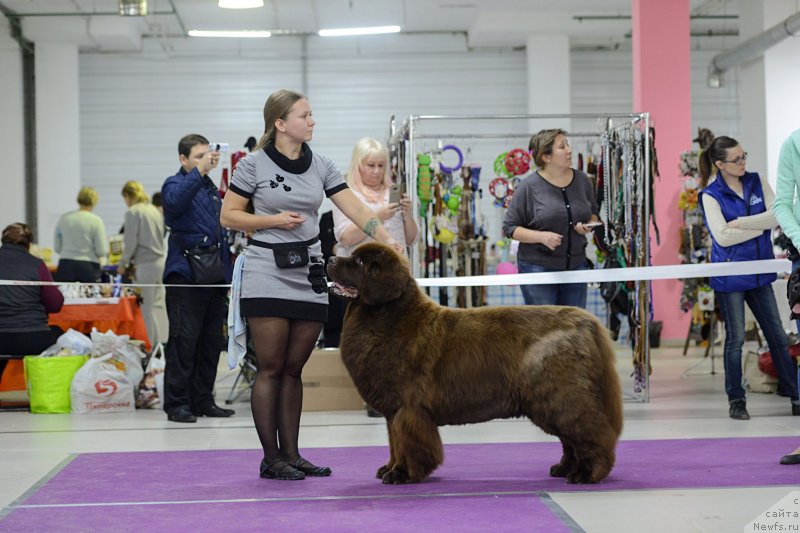 Фотография № 231243