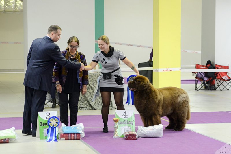 Фотография № 231246