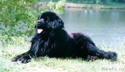 Фотография № 23125