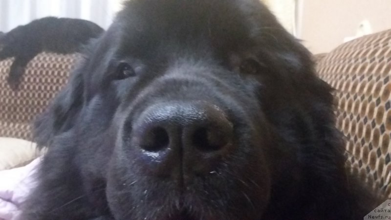 Фотография № 231254