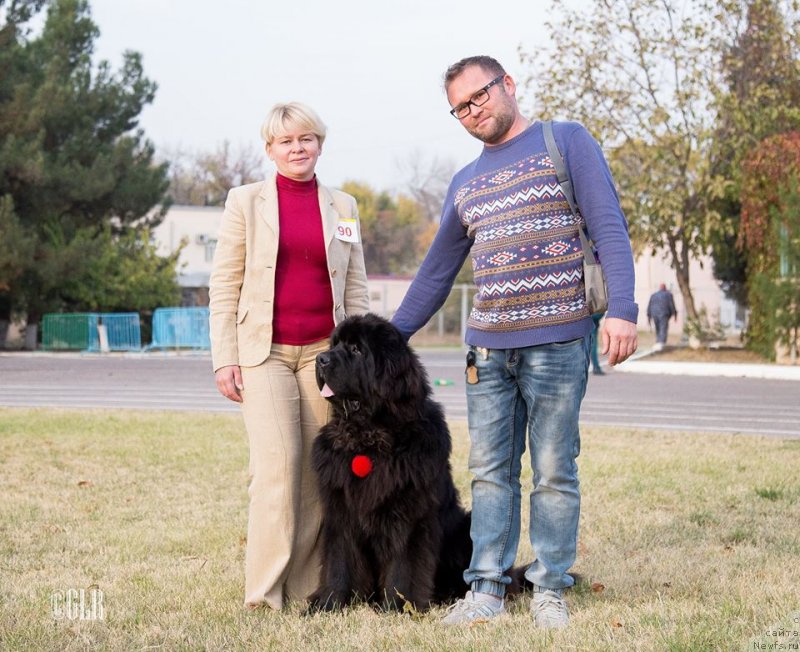 Фотография № 231296