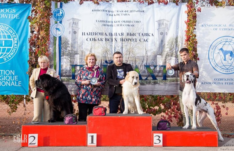 Фотография № 231297