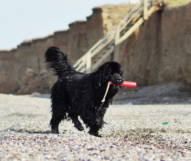 Фотография № 231369