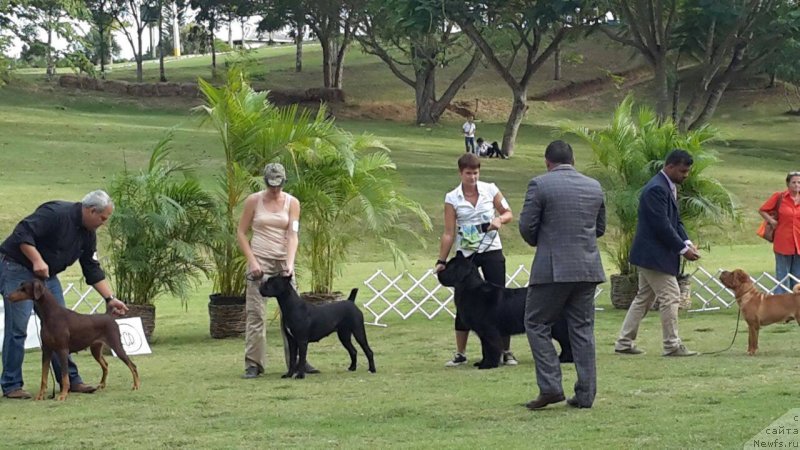 Фотография № 231375