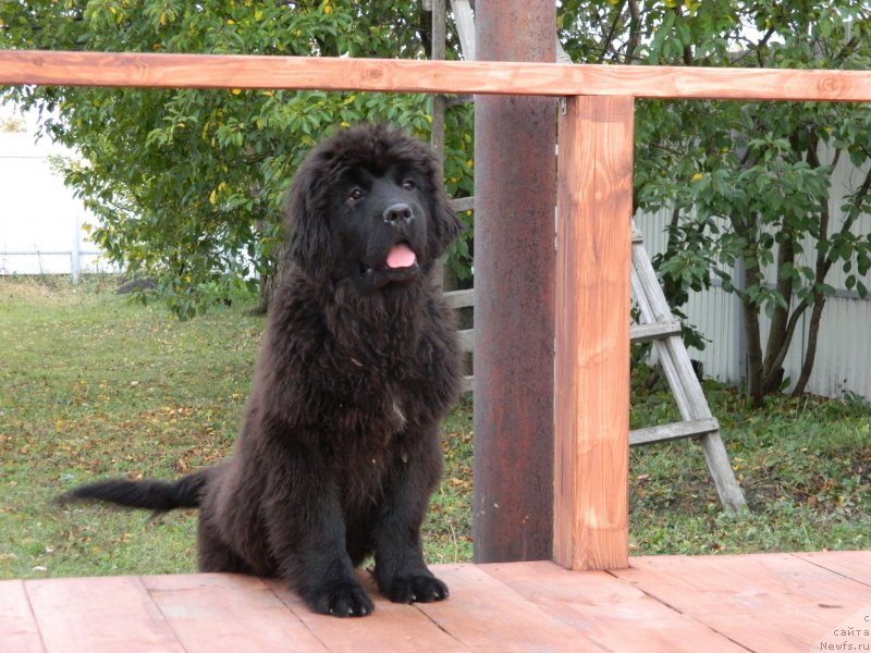 Фото: Дети Трикси