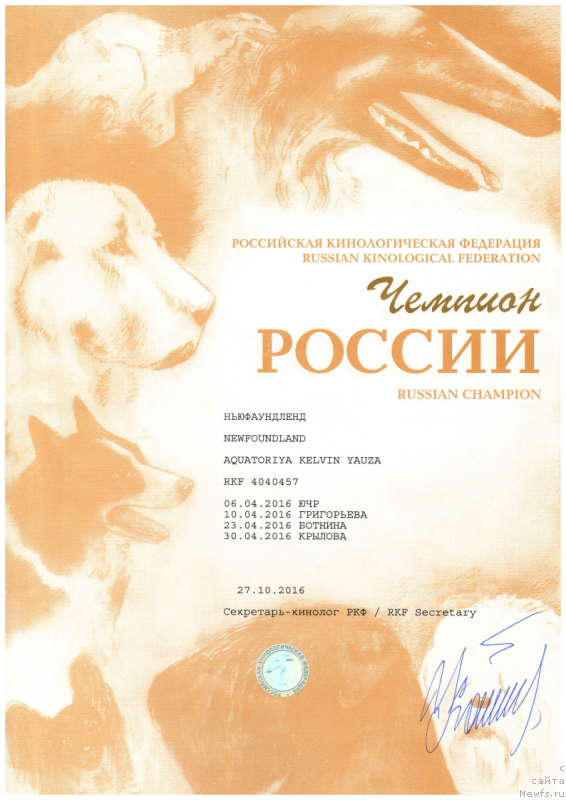 Фото: ньюфаундленд Aquatoriya Kelvin Yauza (Акватория Келвин Яуза), ньюфаундленд Aquatoriya Kelvin Yauza (Акватория Келвин Яуза)