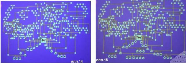 Фотография № 23145