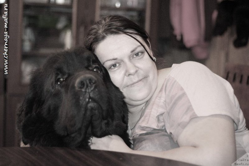 Фото: ньюфаундленд Chernaya Mafia Be Cool (Черная Мафия Бе Коол)