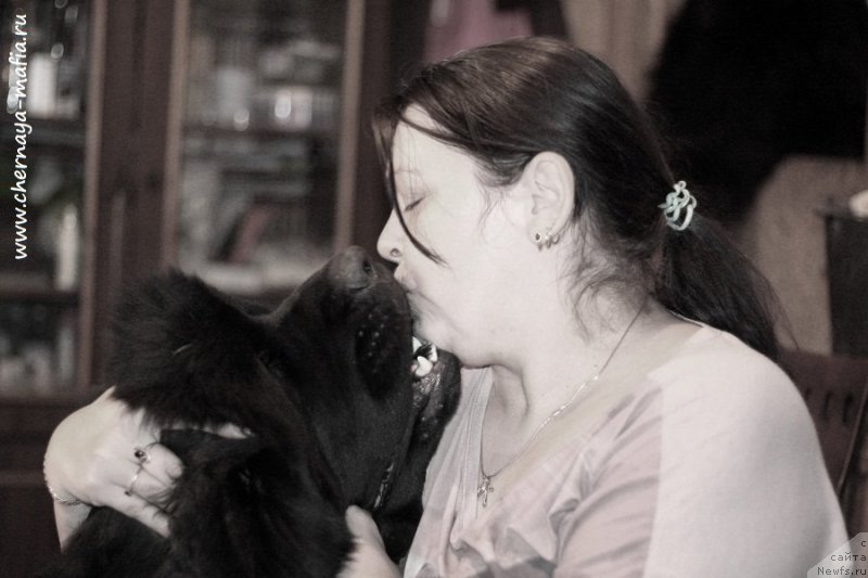 Фотография № 231454