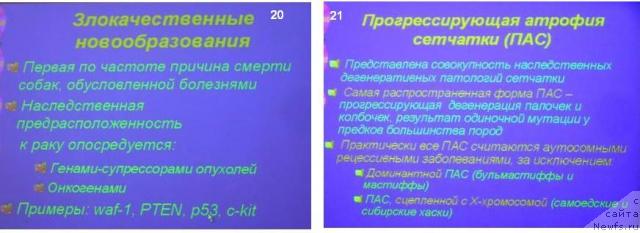 Фотография № 23146