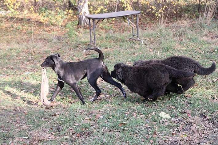 Фотография № 231462