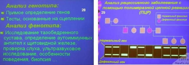 Фотография № 23147