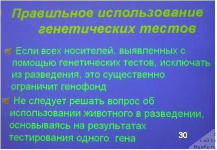 Фотография № 23148