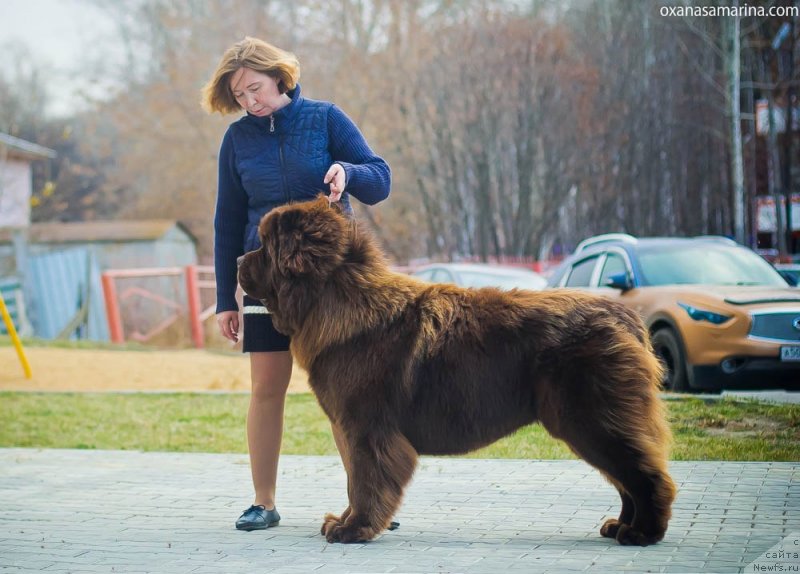 Фотография № 231495