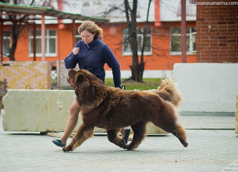 Фотография № 231499