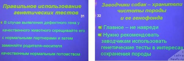 Фотография № 23150