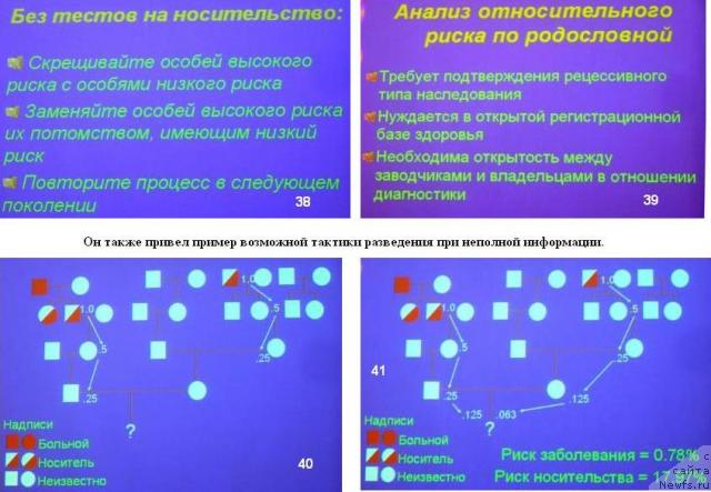 Фотография № 23152