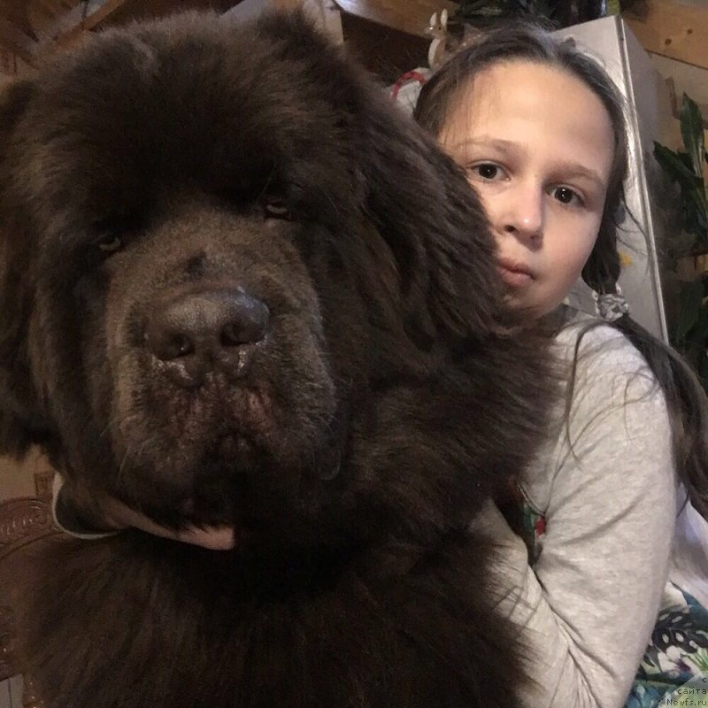 Фотография № 231542