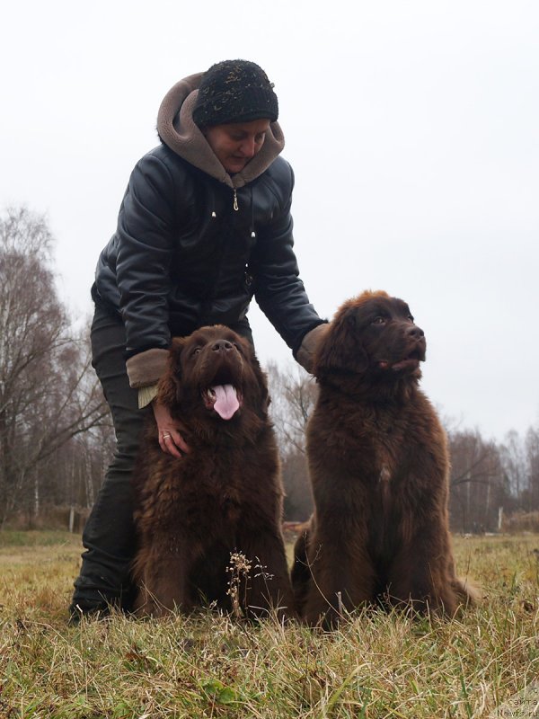 Фотография № 231545