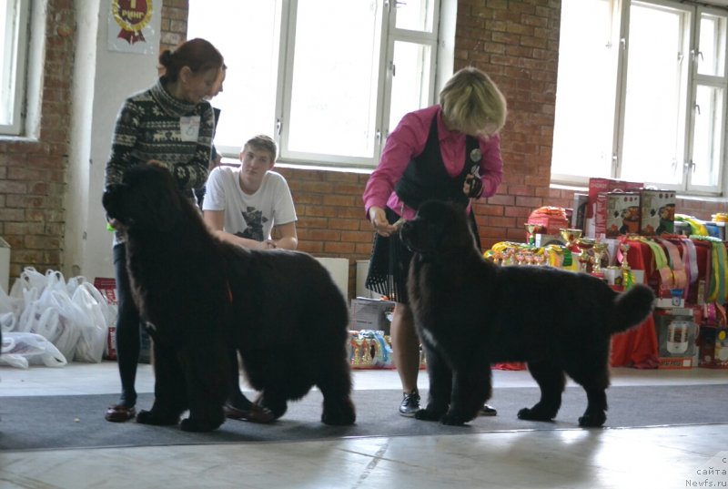 Фото: Elena Votchal (Елена Вотчал)
