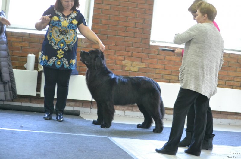 Фотография № 231576