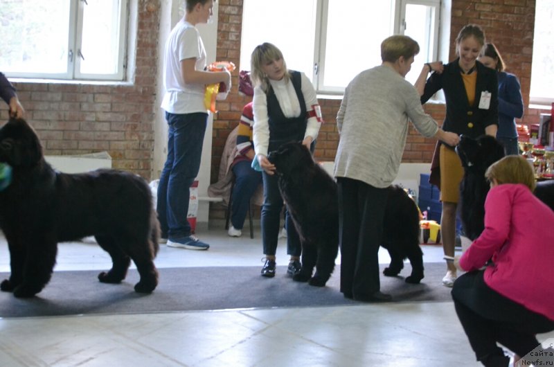 Фото: Elena Votchal (Елена Вотчал)