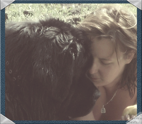 Фото: ньюфаундленд Akvatoriya Kelvin Impressario (Акватория Келвин Импрессарио), Inna Berejnaya (Инна Бережная)