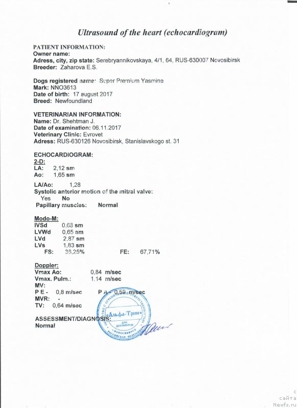 Фотография № 231636