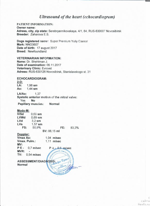 Фотография № 231637