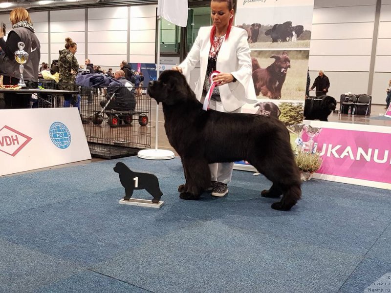 Фото: ньюфаундленд Eclipseofthemoon Newfoundlandhills Newfoundlandhills