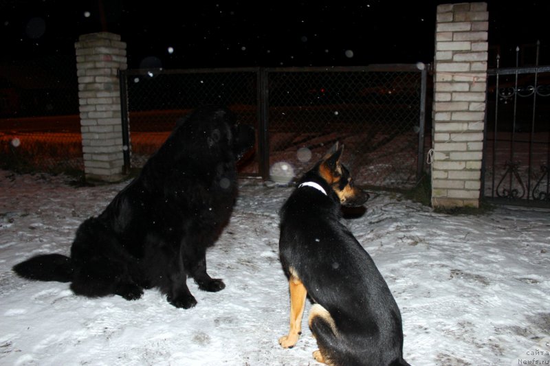 Фото: Viktoriya Sidorova (Виктория Сидорова)