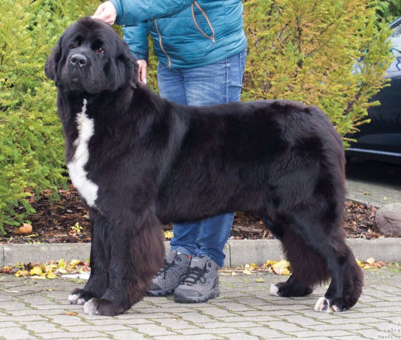 Фотография № 231655